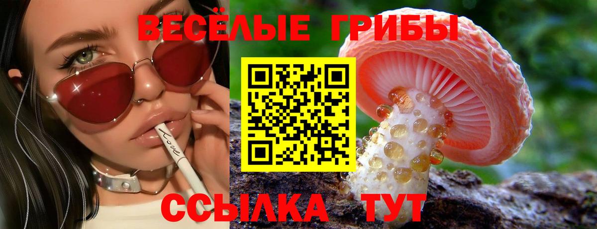 Галлюциногенные грибы GOLDEN TEACHER Зеленокумск